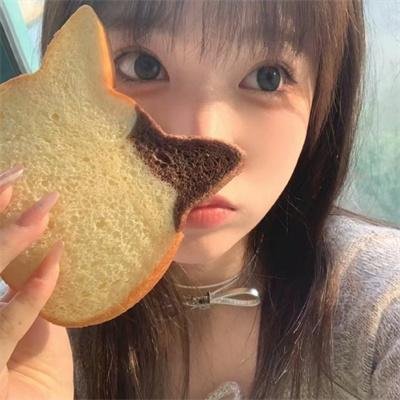 猫小姐寻真爱